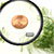 Interactive Flash Objects : Flash Object